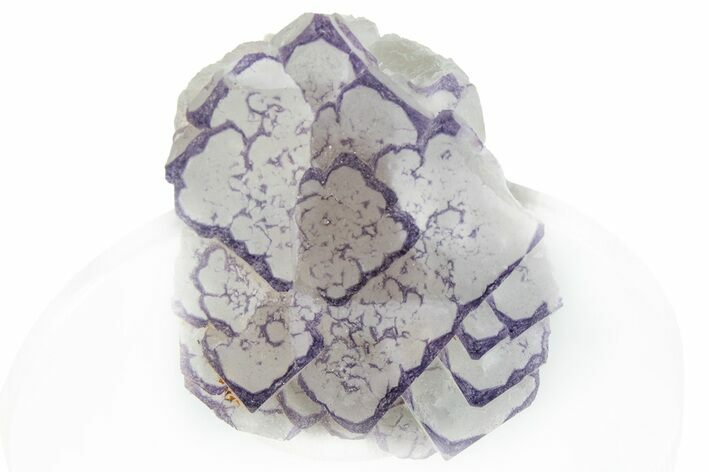 Purple Edge Fluorite - Qinglong Mine, China #295043